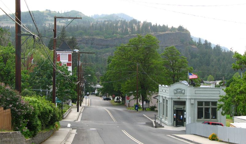A Community Rooted In Nature And Creativity