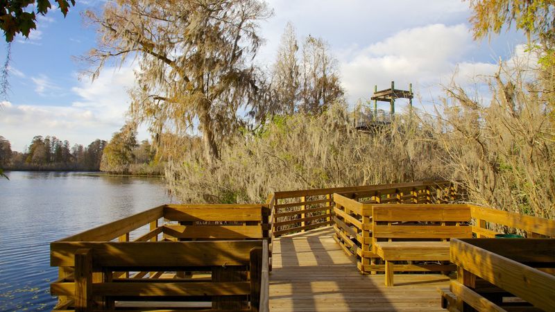 Outdoor Activities To Enjoy In Tampa With Friends Or Family - Decor Hint Picnicking at Lettuce Lake Park