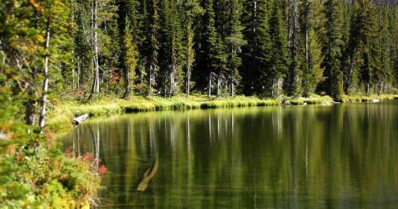 Oregon's Forest Hideaway With 360 Views And Endless Trails - Decor Hint Trail Networks & Hiking Routes