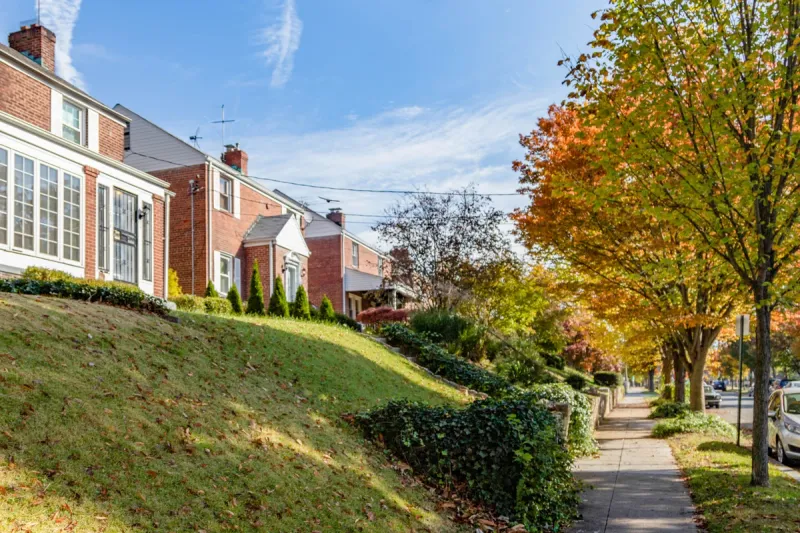 Brightwood: Northwest Value Play