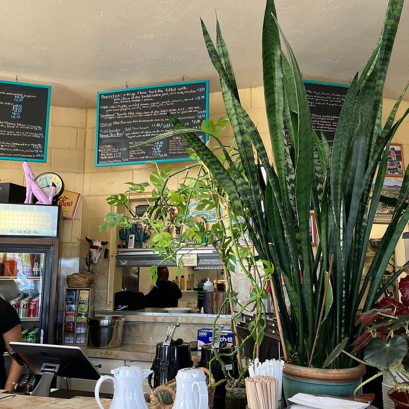 Nopalitos, Sacramento