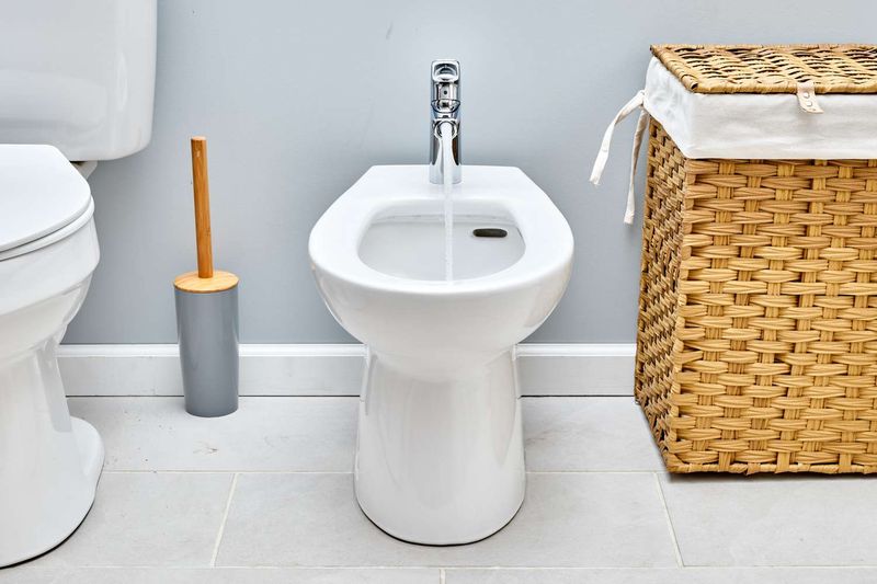 Bathroom Upgrades New Yorkers Often Overvalue, According To Remodelers - Decor Hint Bidets