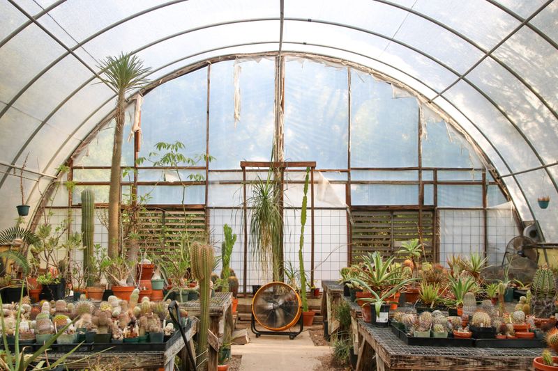 Zilker Botanical Garden (Austin) – Greenhouse And Cactus House