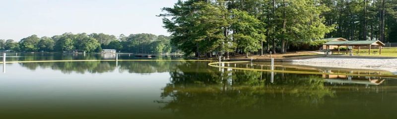 14 Lesser-Known Lakes In Georgia Perfect For Quiet Getaways - Decor Hint Lake Jackson, Butts County