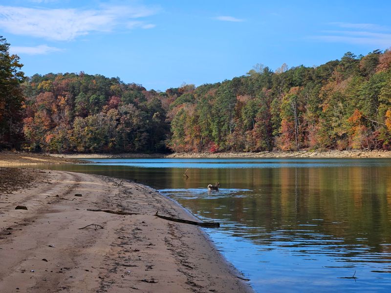 14 Hidden Lakes In Alabama That Are Perfect For Fishing Camping And Escaping It All - Decor Hint Clear Creek Lake