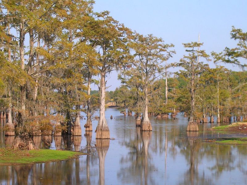 10 Hidden Lakes In Louisiana That Locals Guard Like Gold - Decor Hint Cheniere Lake