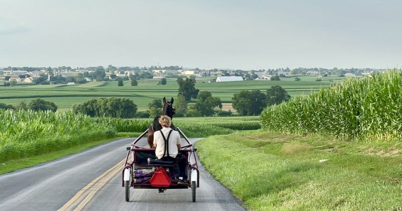 Fall Road Trips Across Ohio Packed With Family Fun And Scenic Views - Decor Hint Amish Country Back Roads Exploration
