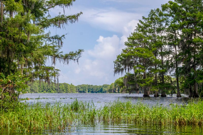 19 Florida Lakes Locals Visit When They Want True Peace - Decor Hint Lake Tsala Apopka, Citrus County