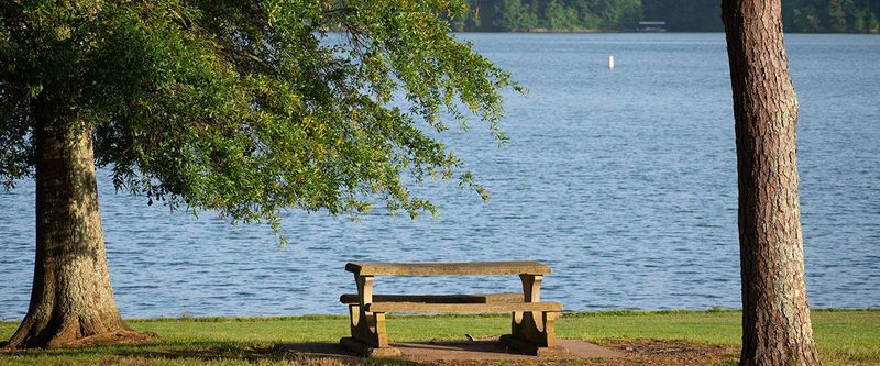 14 Lesser-Known Lakes In Georgia Perfect For Quiet Getaways - Decor Hint Lake Lanier, Hall County
