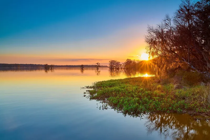 19 Florida Lakes Locals Visit When They Want True Peace - Decor Hint Lake Talquin, Near Tallahassee