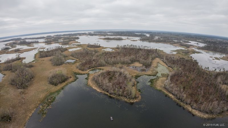 19 Florida Lakes Locals Visit When They Want True Peace - Decor Hint Lake Seminole, Jackson/Gadsden County