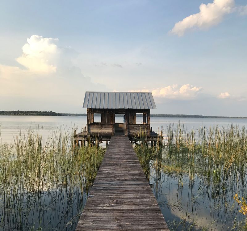 19 Florida Lakes Locals Visit When They Want True Peace - Decor Hint Lake Kerr, Marion County