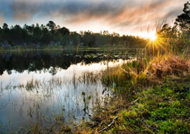 19 Florida Lakes Locals Visit When They Want True Peace - Decor Hint Lake Walk-In-The-Water (Lake Weohyakapka), Polk County