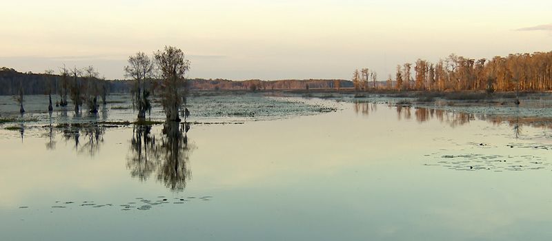 19 Florida Lakes Locals Visit When They Want True Peace - Decor Hint Lake Miccosukee, Jefferson/Leon County
