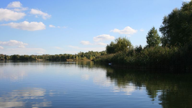 14 Hidden Lakes In Alabama That Are Perfect For Fishing Camping And Escaping It All - Decor Hint Bear Creek Lakes