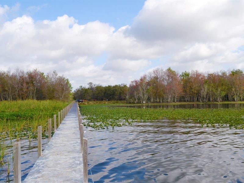 19 Florida Lakes Locals Visit When They Want True Peace - Decor Hint Lake Marian, Kenansville
