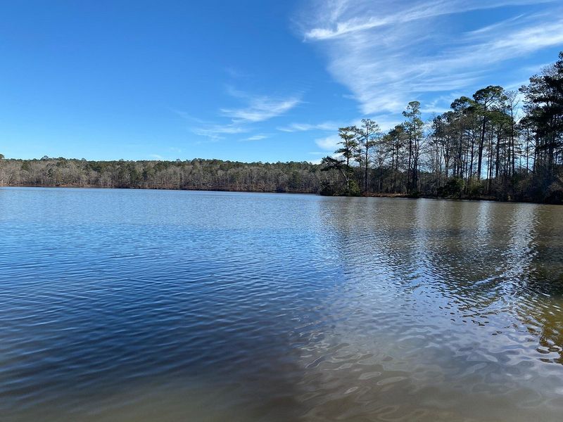 14 Lesser-Known Lakes In Georgia Perfect For Quiet Getaways - Decor Hint Lake Rutledge, Hard Labor Creek State Park, Rutledge