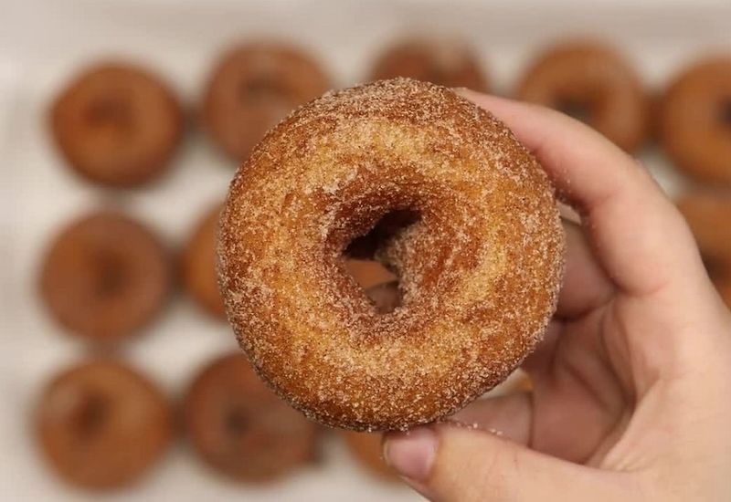 14 Pennsylvania Spots Serving Fresh, Warm, And Perfect Cider Donuts - Decor Hint Highland Orchards, West Chester