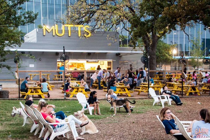 Mutts Canine Cantina, Dallas