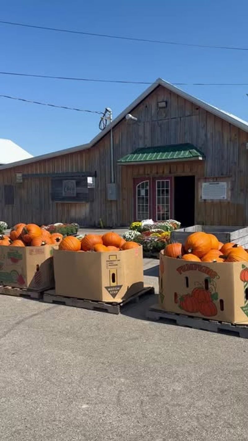 The Great Pumpkin Fest at Kings Island