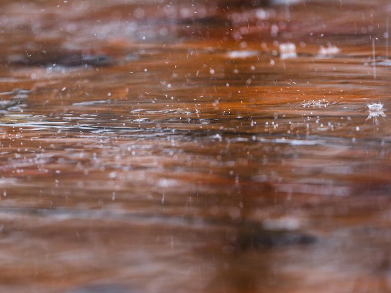 Additional Tips & Precautions