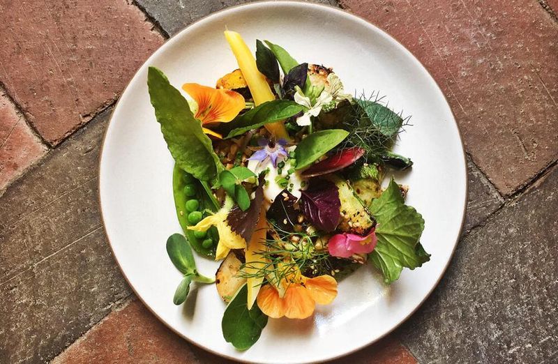 Where To Grab The Best Lunch In DC Right Now - Decor Hint The Dabney