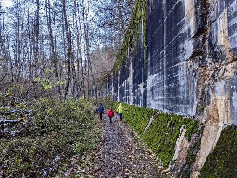 Must Try Beginner Trails In Washington For The Perfect Fall Getaway - Decor Hint Iron Goat Trail