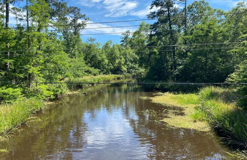 Tammany Trace Trail