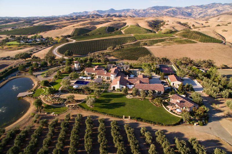 Vineyard / Winery Estate Homes