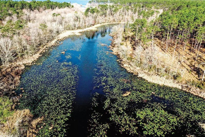 Hydrology And Water Clarity Patterns