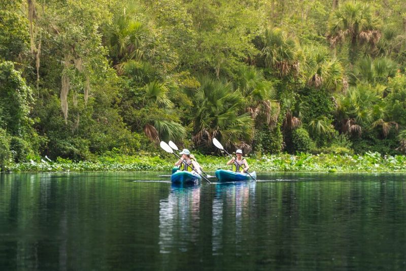 Family Activities, Birding, Paddling And Scenic Stops