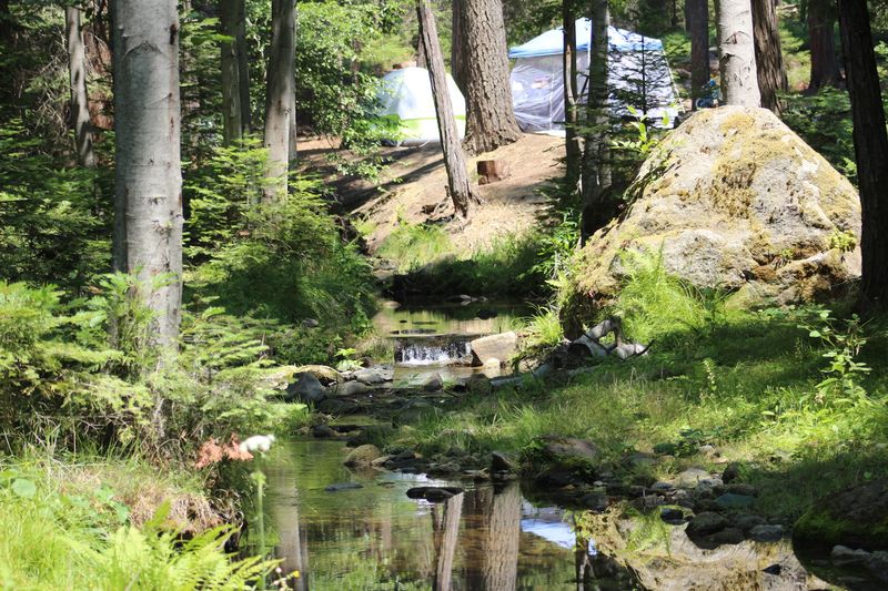 13 California Lakes Tucked Inside Sequoia National Forest Perfect For Fishing And Camping - Decor Hint Eshom Creek