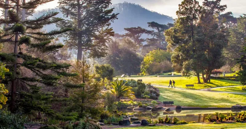 San Francisco Botanical Garden: Cloud Forest Treasures