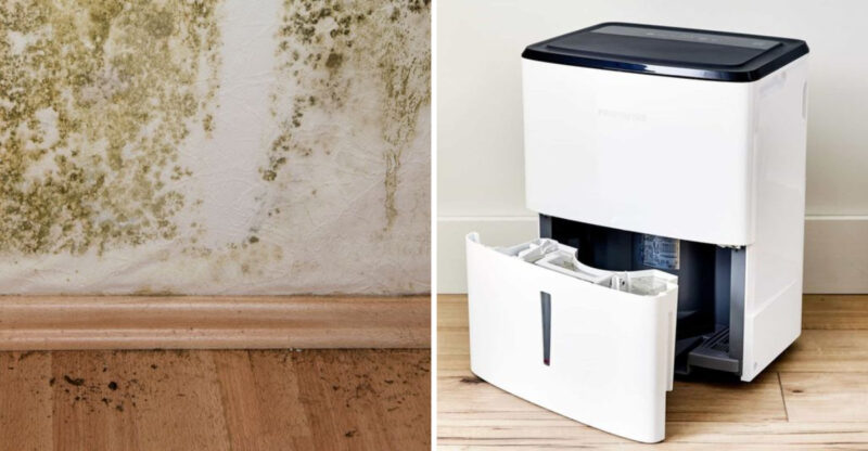 Louisiana Homeowners Are Turning To This Budget-Friendly Upgrade To Fight Mold