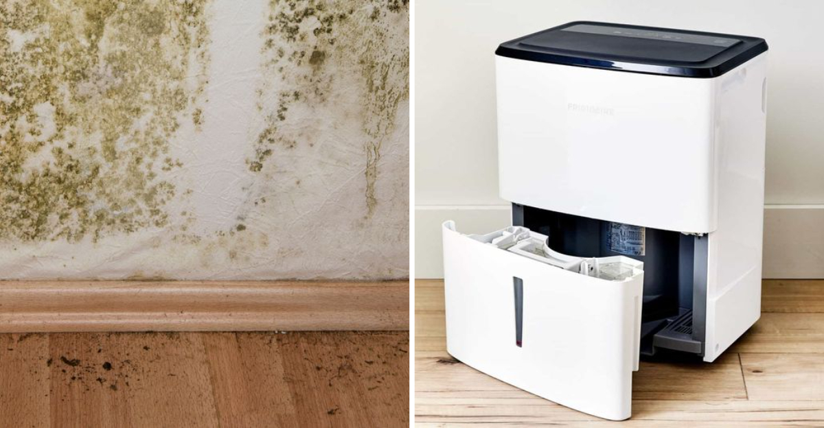 Louisiana Homeowners Are Turning To This Budget-Friendly Upgrade To Fight Mold - Decor Hint Louisiana Homeowners Are Turning To This Budget Friendly Upgrade To Fight Mold - Decor Hint