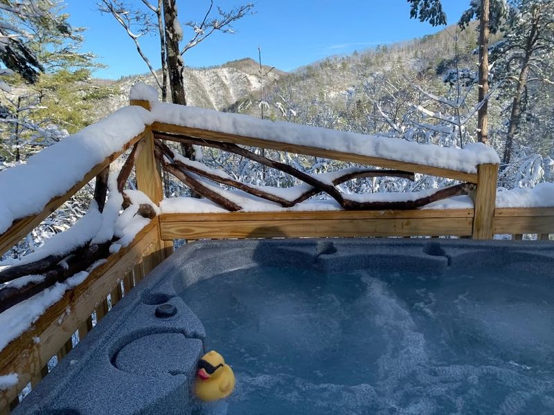 Hot Springs Treehouse Cabins - Hot Springs, NC