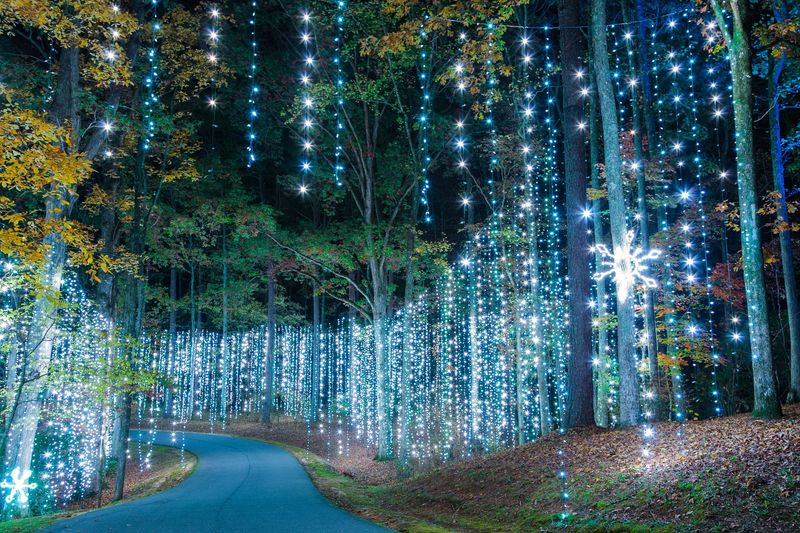 Callaway Resort & Gardens Light Spectacle