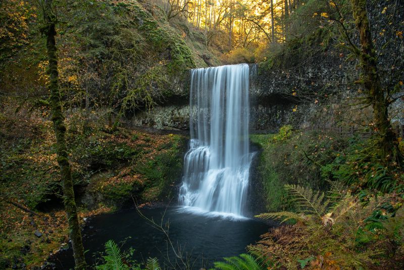 Silver Falls Canyon Trail