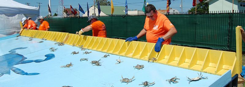 National Hard Crab Derby and Fair
