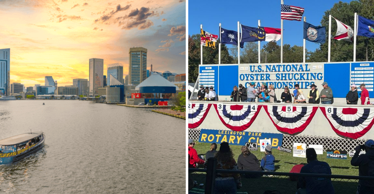 Maryland Seafood Festivals Locals Wait All Year For - Decor Hint