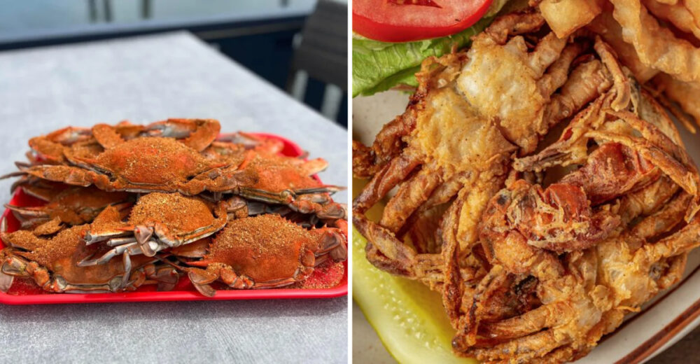 Maryland Seafood Restaurants That Deliver Big Flavor Without The Fuss - Decor Hint