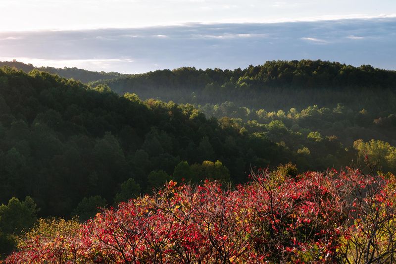 Fall Road Trips Across Ohio Packed With Family Fun And Scenic Views - Decor Hint Wayne National Forest Wilderness Drive