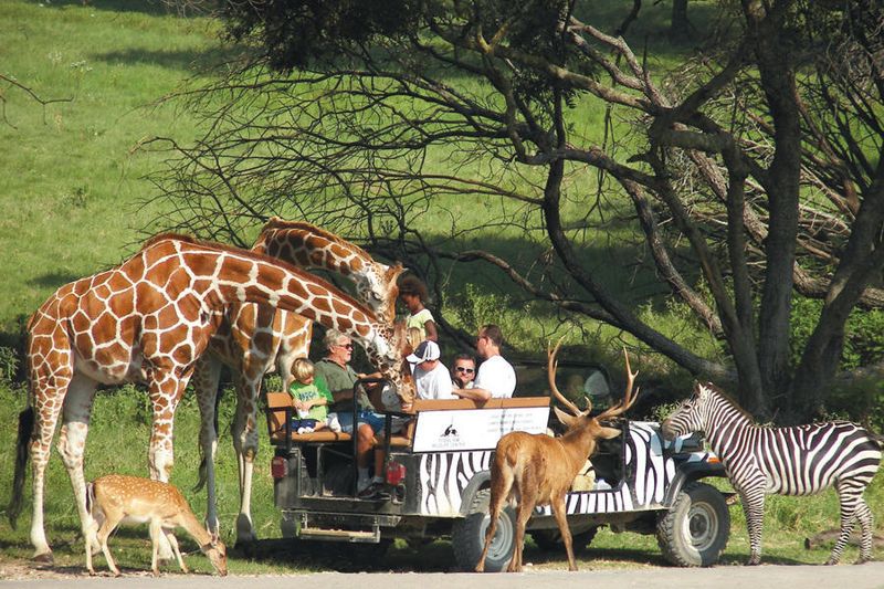 Fossil Rim Wildlife Center