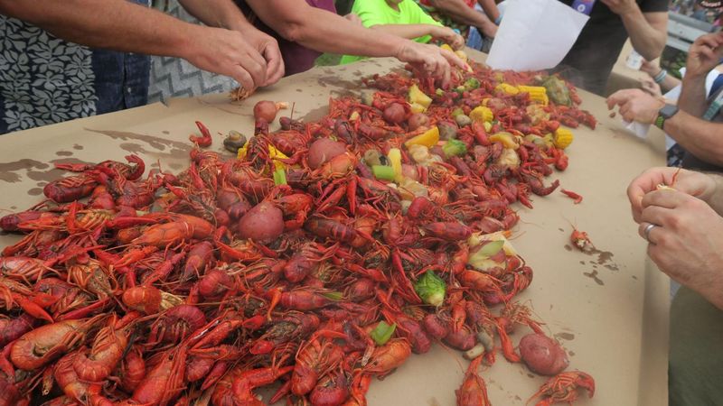 Guidry's Backyard Boil