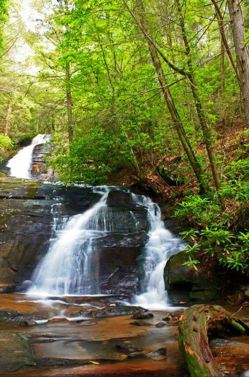 Recharge Your Soul In Blue Ridge, Georgia - Decor Hint Fall Branch Falls