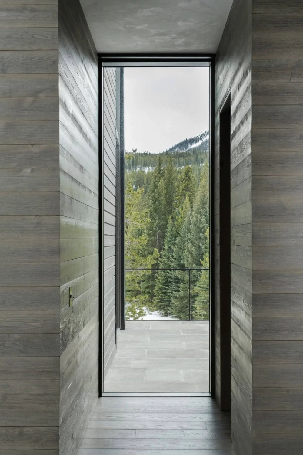 Window Walls And Natural Light Design