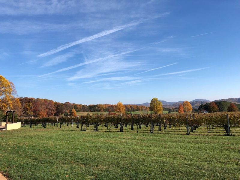 Fall Road Trips Across Ohio Packed With Family Fun And Scenic Views - Decor Hint Miami Valley Wine Trail Tour