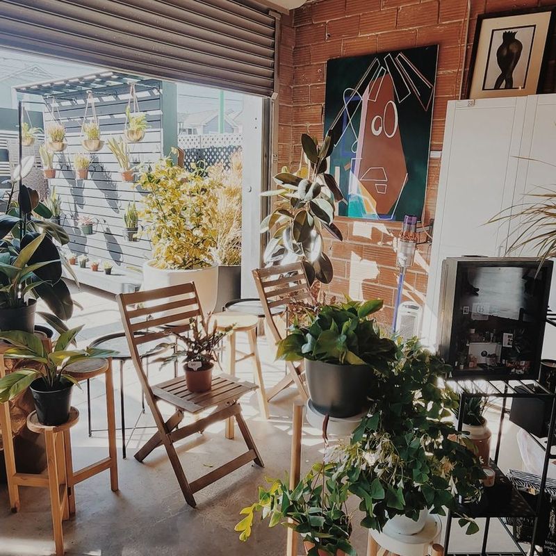 The Little Shade House, Oakland