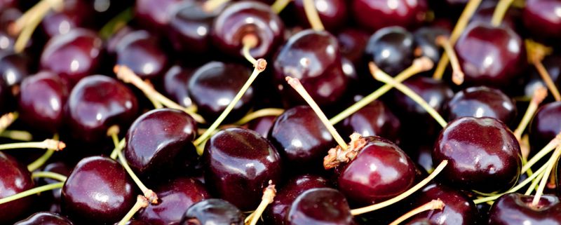 The Most Legendary Foods Montana Is Known For - Decor Hint Flathead Cherries