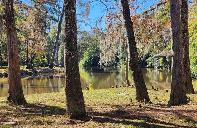 Bogue Falaya Park